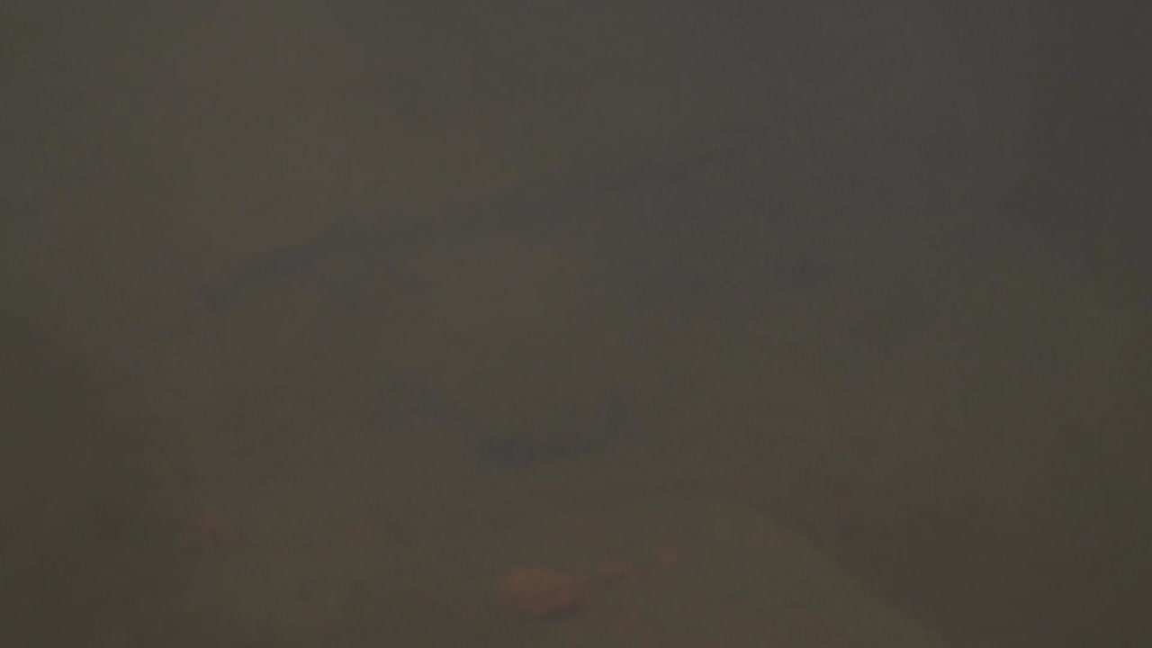 A close-up of a muddy riverbed with submerged rocks and earthy tones. Perfect for backgrounds, nature blogs, or environmental concepts