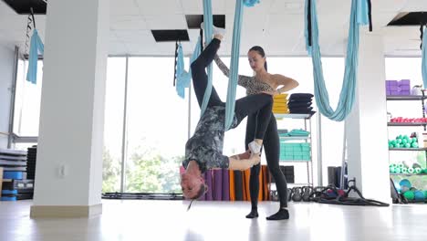 Aerial Yoga Training in the Gym Hobby Active Lifestyle Gymnastics on Canvases Aerial Yoga Training in the Gym Hobby Active Lifestyle Gymnastics on Canvases