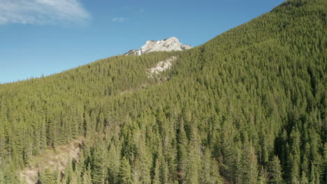 Drone-rises-over-forest-with-mountain-in-the-background