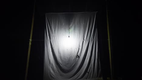 timelapse of a light trap put out to get samples of moths and other phototactic insects in the peruvian rainforest