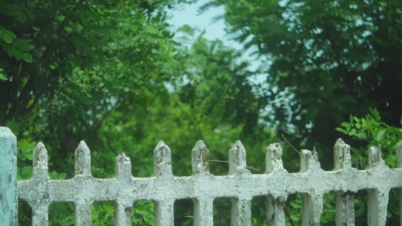 Close-up shot of a weathered white fence with green trees and foliage in the background