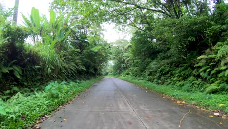 POV-driving-backward-through-rainforest-jungle-in-Asia-4k