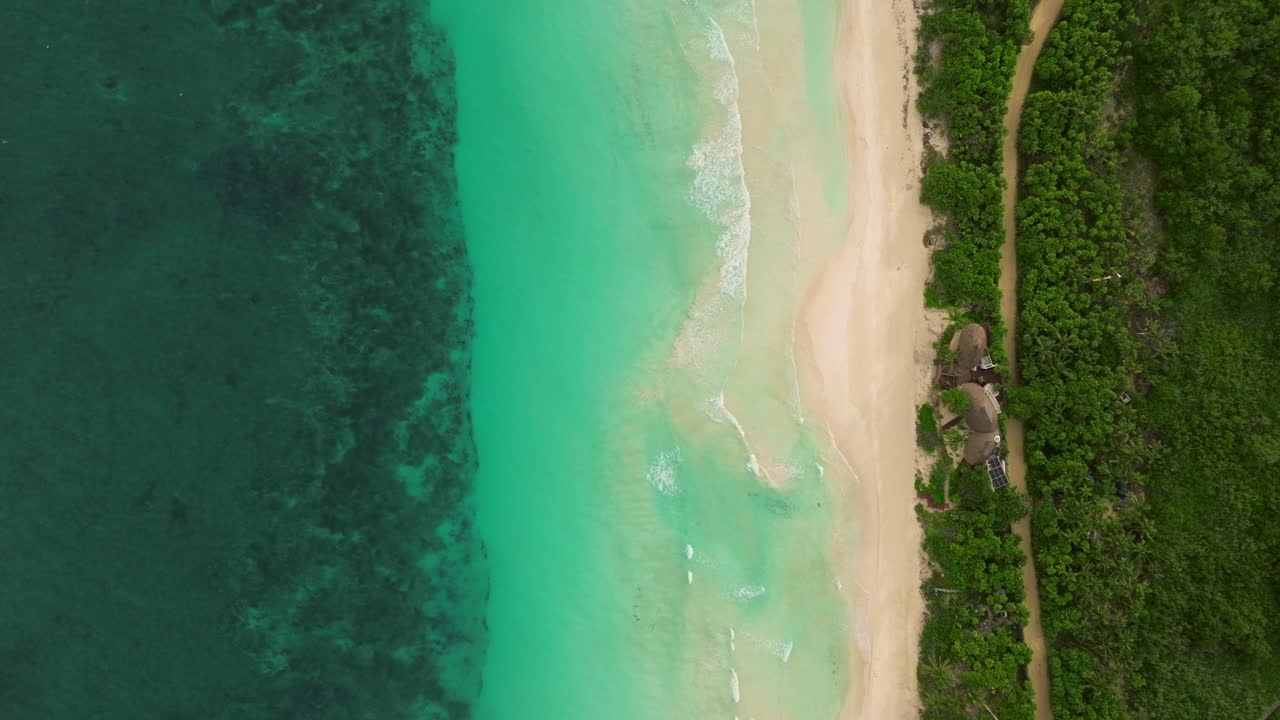 Vertical Aerial View of Tulum’s White Sand Beach and Turquoise Ocean