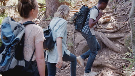 Rear-View-Of-Young-Friends-Hiking-Through-Countryside-Walking-Along-Path-Together