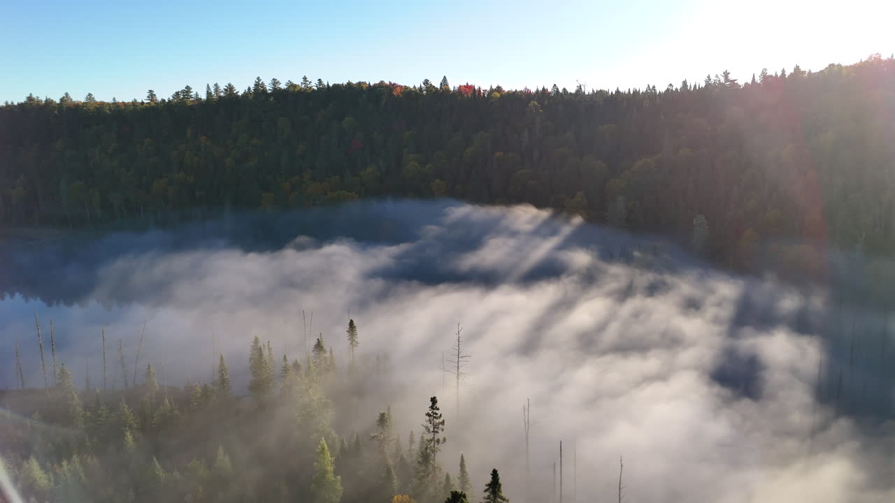 Aerial view of autumn forest and mountains in vivid colors with morning fog in Mauricie, Quebec, Canada. Soft sunlight illuminates the colorful foliage over peaceful wilderness