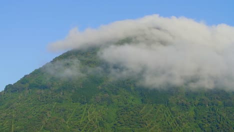 una montaña de bosque de café cubierta de niebla en santa ana, el salvador durante una mañana ventosa