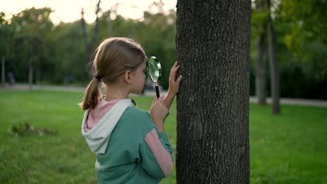 girl exploring a tree with a magnifying glass in a park