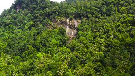 beautiful waterfall in green forest.