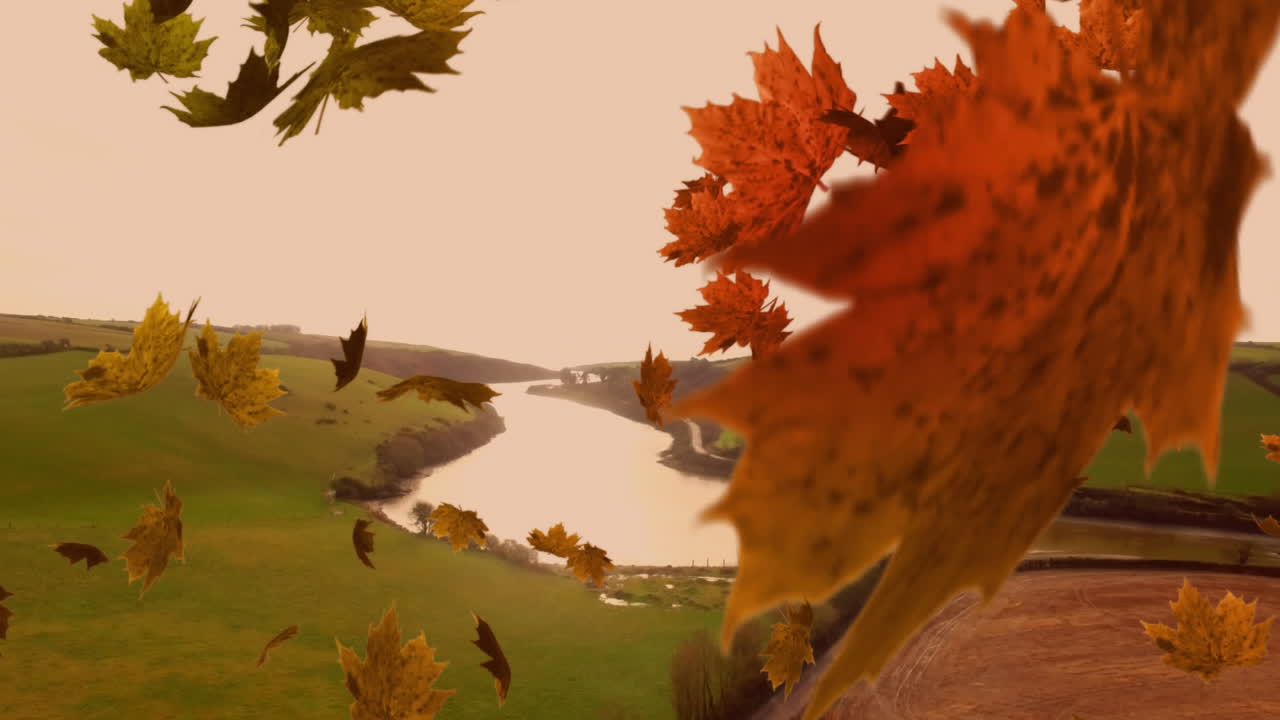 падающие листья