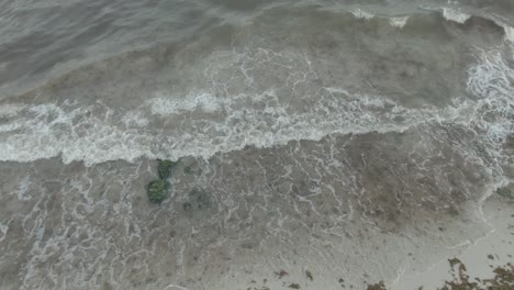 Sargassum-Algen-Am-Strand-Von-Playa-Del-Carmen-Quintana-Roo-Mexiko-20