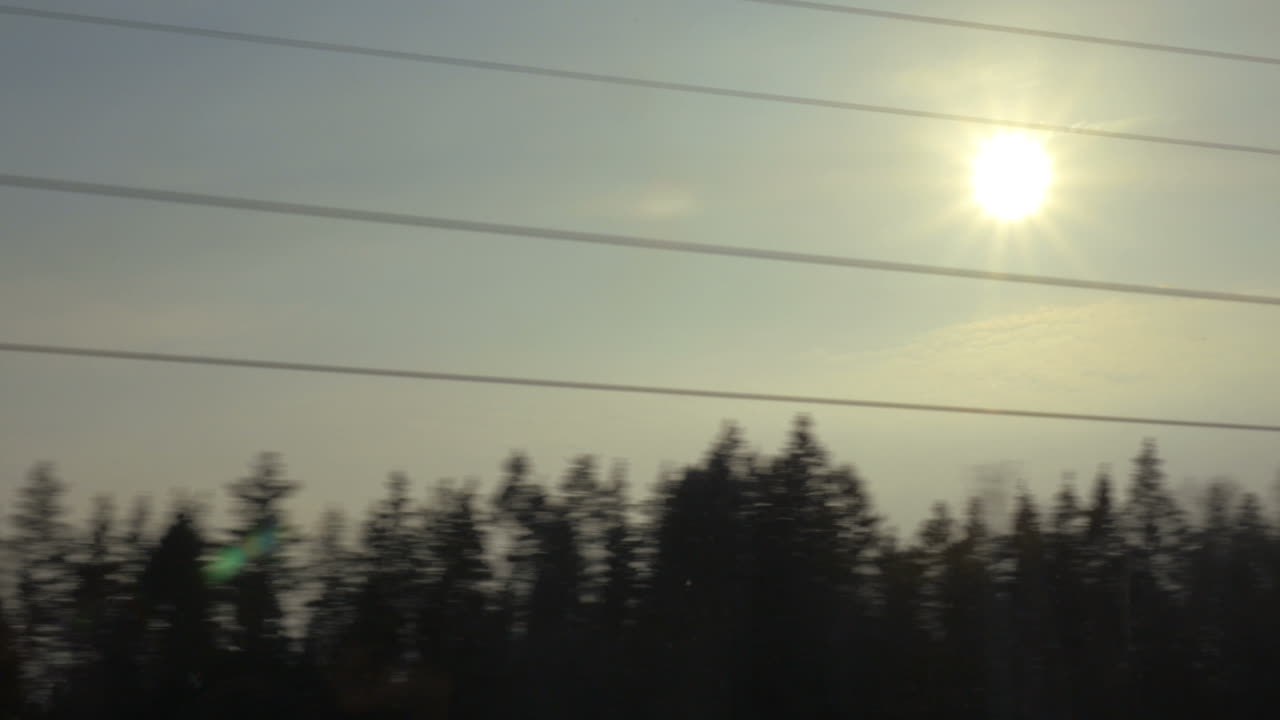 태양과 나무와 함께 지나가는 풍경의 저녁 장면