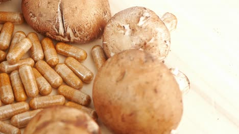 mushroom capsules