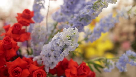 Bouquet-of-lavender-and-red-roses,-close-up-panning-shot