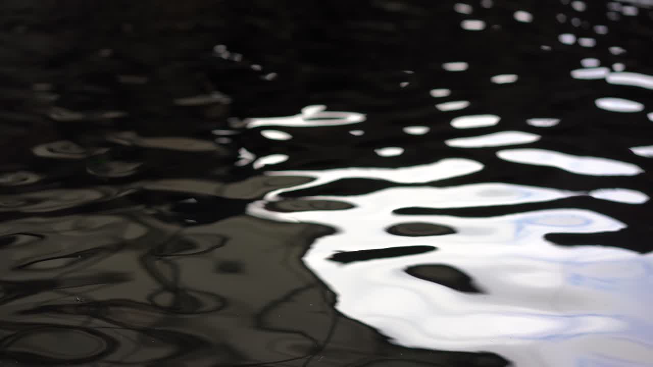 물 연못 hd에 반사