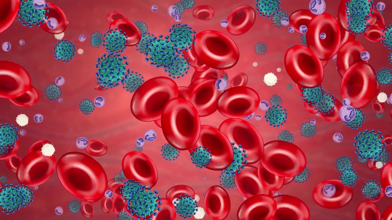 Animazione medica 3D mostra globuli rossi e particelle virali che fluttuano attraverso un vaso sanguigno