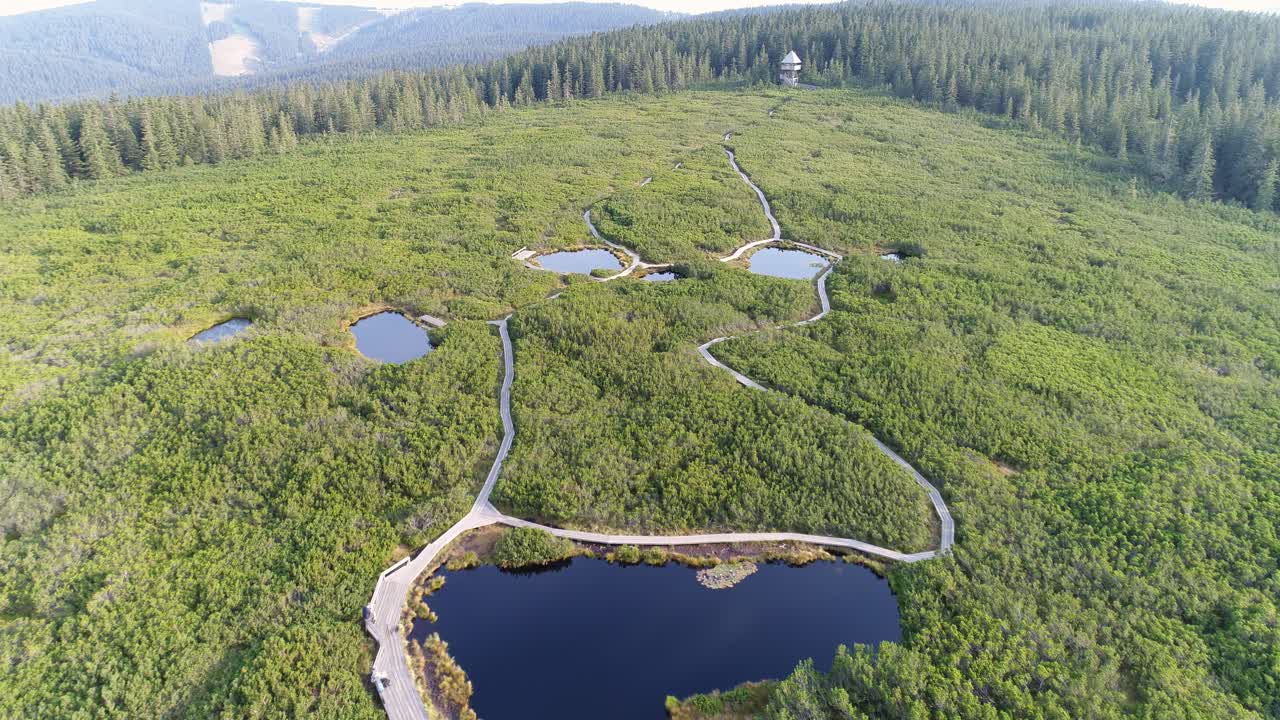 Flight over small lakes connecting by curvy foodpaths in green landscape leading to a lookout tower in front of a large dense forest. Drone shot