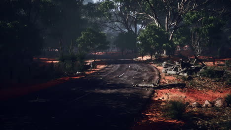 Winding-road-crossing-the-savanna