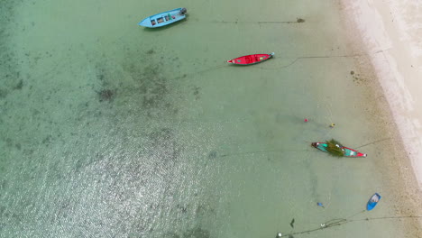 Beach-beauty-from-above