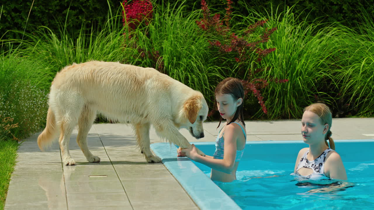 niños y perro en la piscina