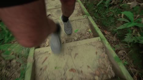 pov subiendo escaleras en caminata, nueva zelanda