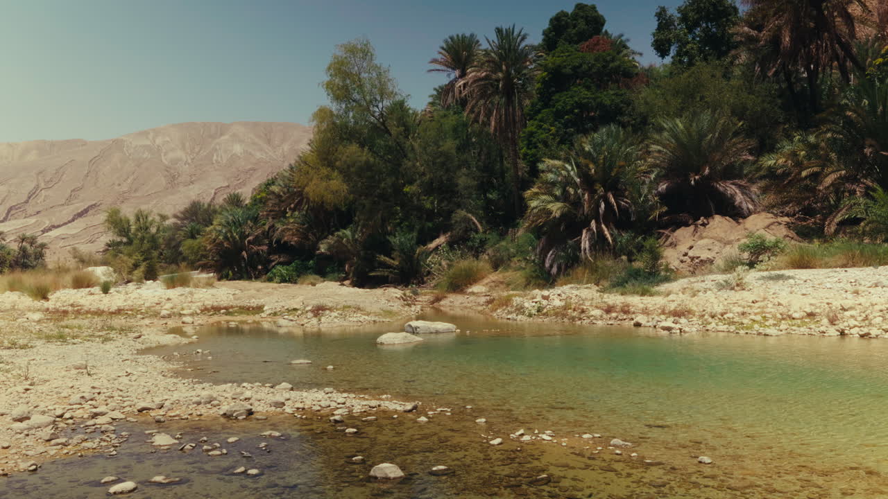 Oasis en el desierto