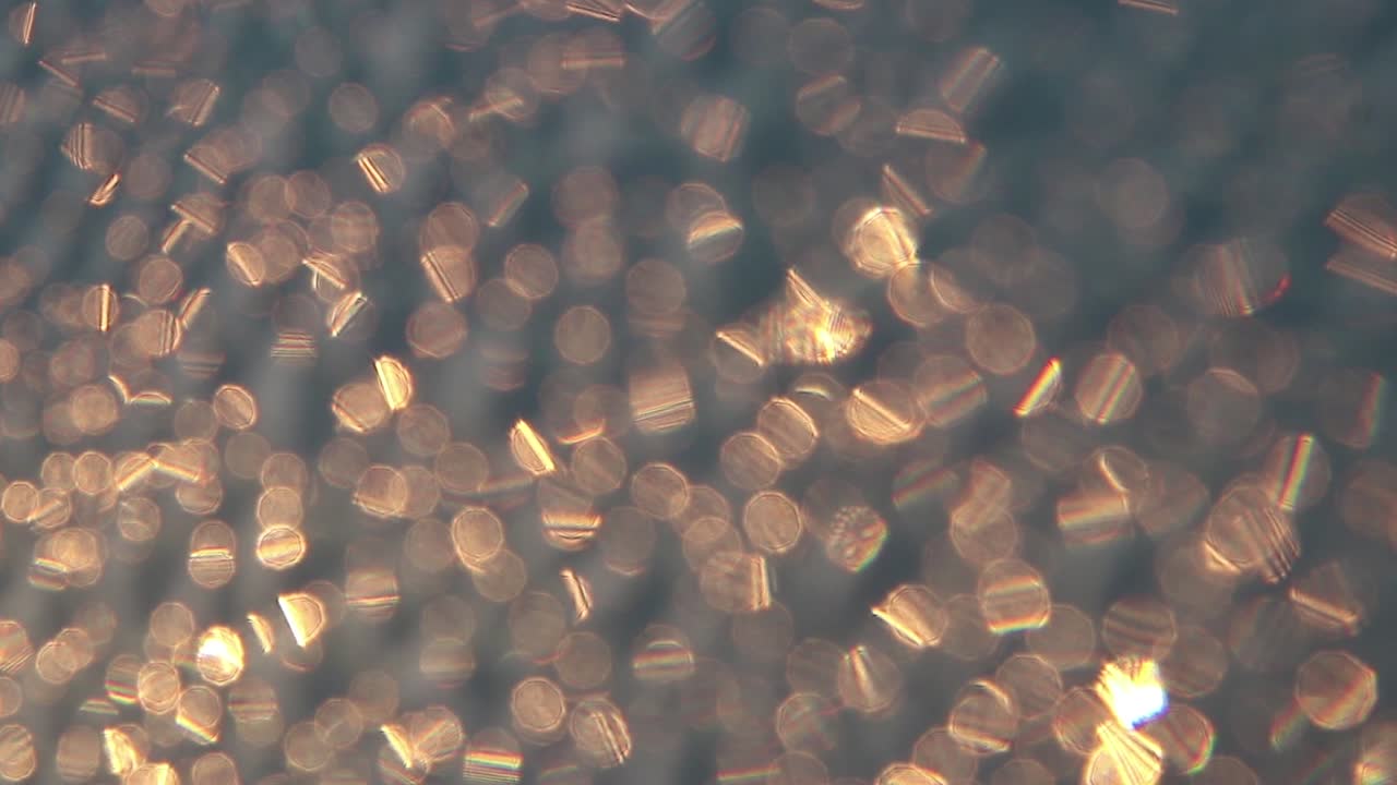 여름 일출-2 동안 거친 표면에 빛나는 황금빛 보케를 닫습니다.