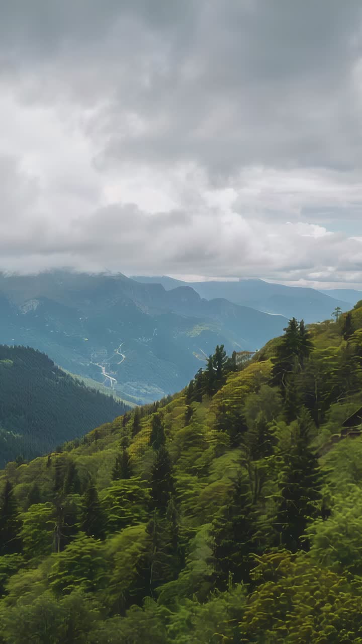 Vertical video: Wind moving low clouds reshaping sky above wooded slope ...