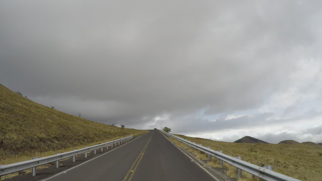 Driving on the Hamakua roads of Hawaii surrounded by palm trees and tropical landscape, pov.