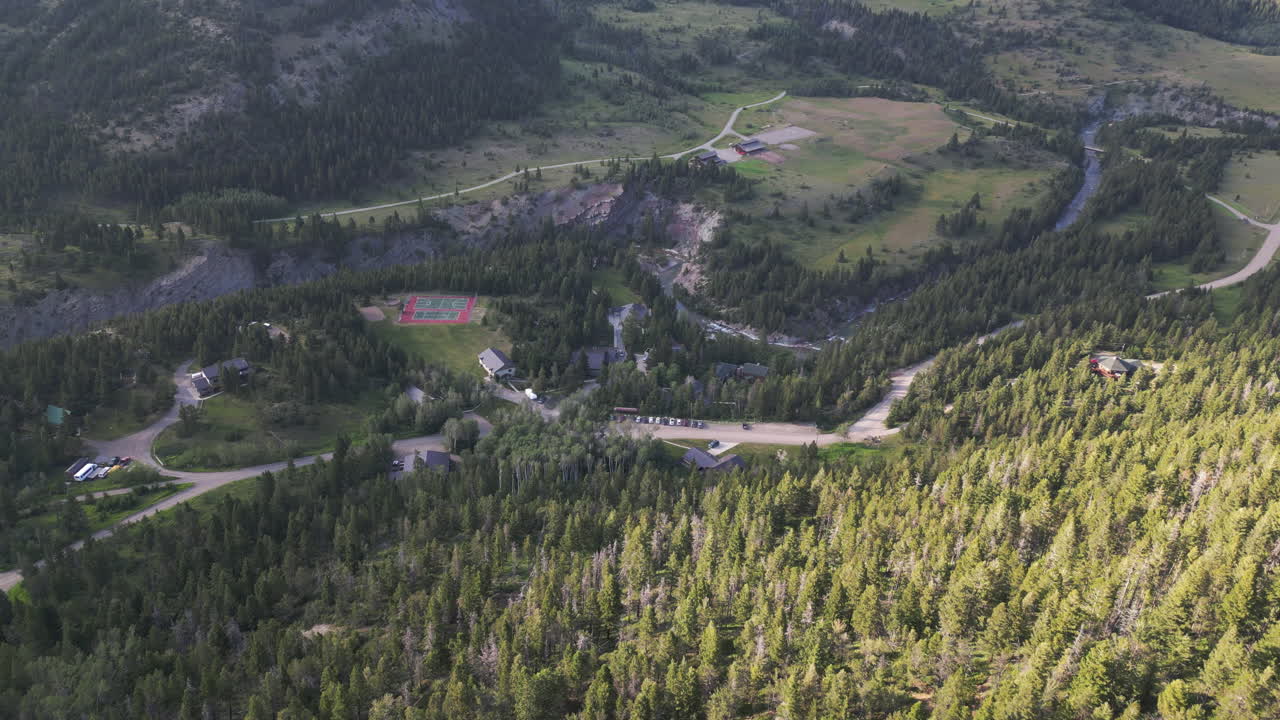 소나무 숲 한가운데 에 있는 여름 캠핑장