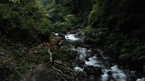 bali indonesia tropical river in the rain forest