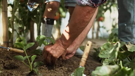 Verfolgungsvideo-Von-Großvater-Und-Enkel-Bei-Der-Gartenarbeit