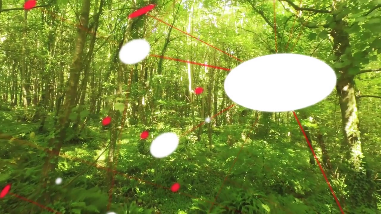 Camera moving forward and panning right, overlays shifting, scaling, tilting, showing forest