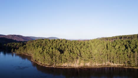 Aerial drone footage flying over the surface of a frozen, ice covered loch in the Cairngorms National Park Scotland to reveal a native scots pine forest with clear blue sky landscape