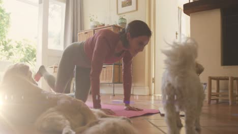 punto de luz contra una mujer caucásica realizando yoga mientras juega con su perro en casa