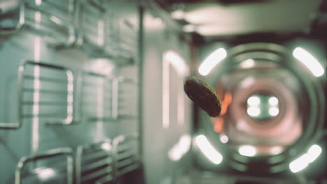 pepino encurtido marinado flotando en la estación espacial internacional