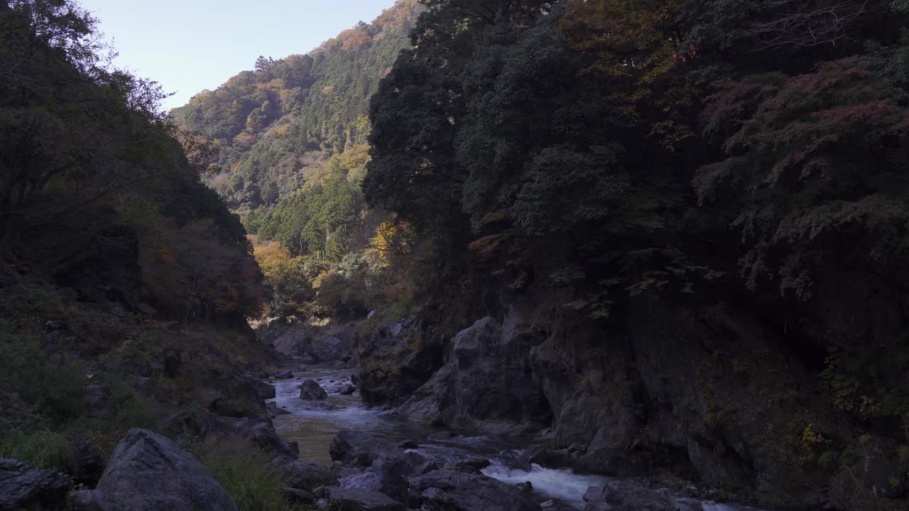 vista tranquila y relajante del barranco de follaje de otoño dentro de un barranco profundo con río salvaje