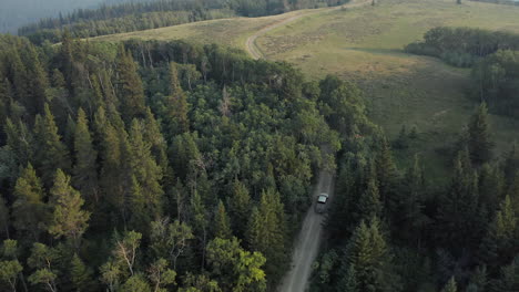 Conducción-De-Camiones-En-Caminos-Sinuosos-De-Grava-Entre-árboles-Del-Bosque