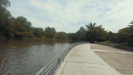 Caminar-En-El-Parque-Y-Mirar-Alrededor