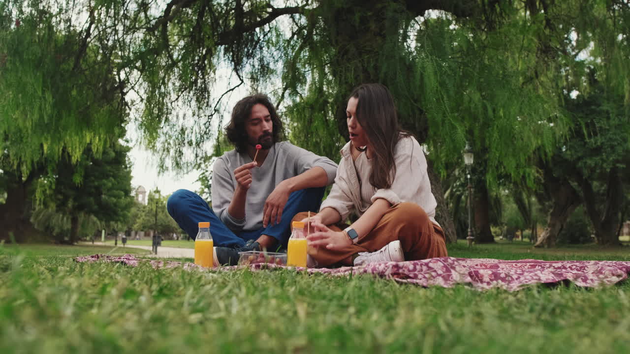 Coppie che godono di un picnic nel parco