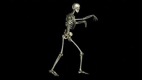 skeleton dancing. seamless loop animation on black background, wave hip hop, ghost character, dancing skull, transparent video with luma matte, 3d render