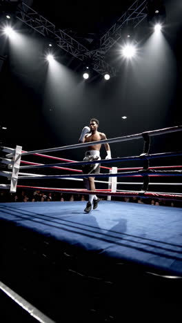 boxing ring in arena