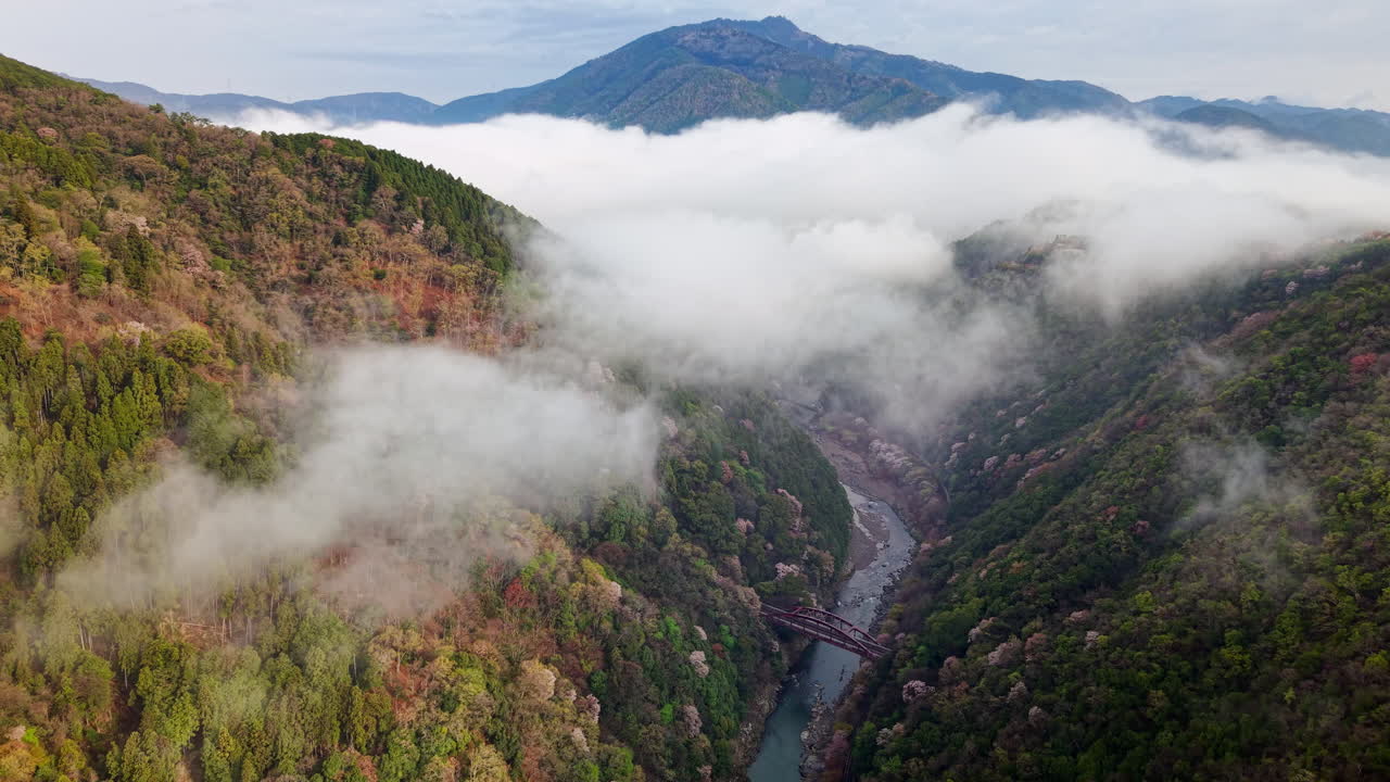 Aerial drone view of the Katsura River in Arashiyama, Japan in daylight