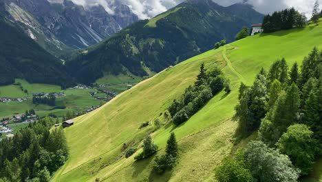 Schöne-Sommerwiese-In-Der-Nähe-Von-Neustift-Im-Stubaital-österreich,-Mit-Dem-Gipfel-Des-Elfers-Im-Hintergrund