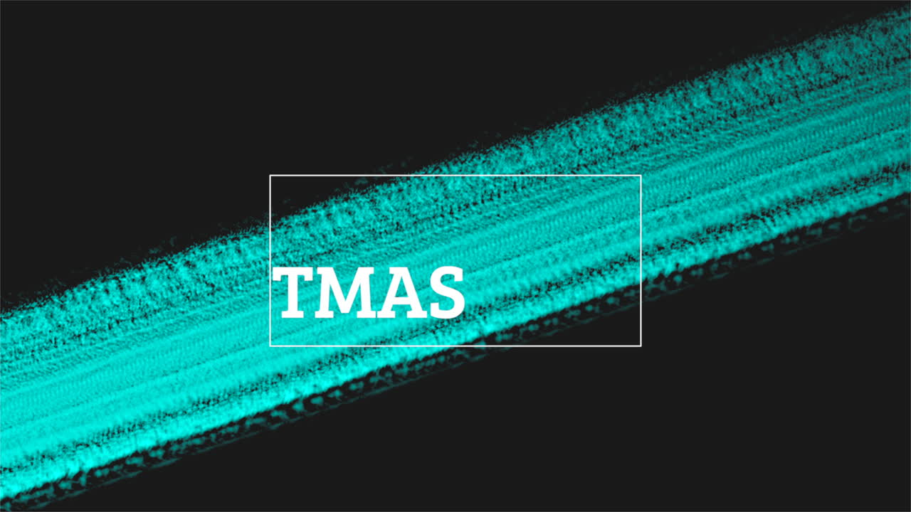 검은 배경에 파란색 브러시로 메리 크리스마스