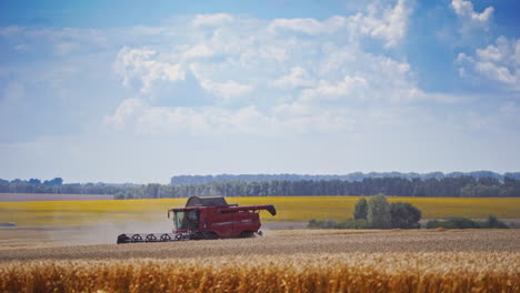 Country farming landscape. Harvesting wheat field with combine harvester