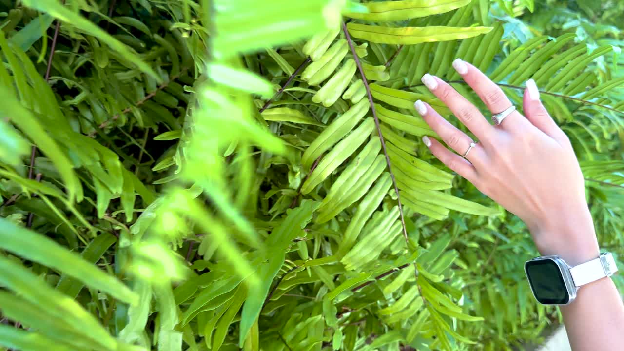 A hand with a watch gently caresses vibrant green fern leaves under bright sunlight, creating a serene and natural atmosphere