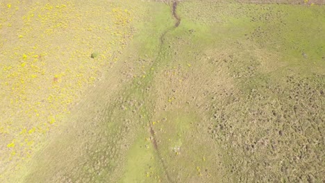 Pequeña-Corriente-De-Agua-En-El-Campo-De-Pastoreo