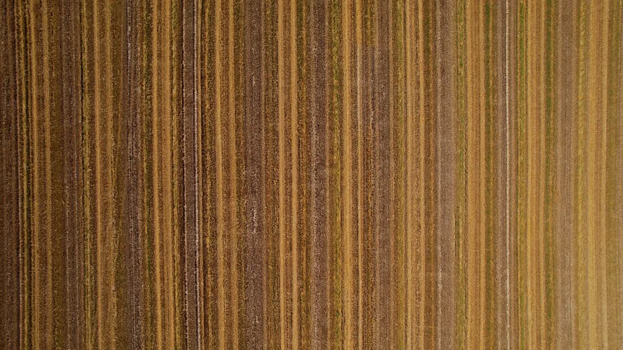 aérea de arriba hacia abajo, campo agrícola recién arado