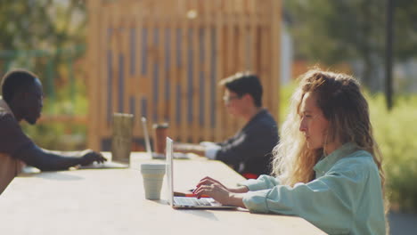 caucasian female freelancer working on laptop in park