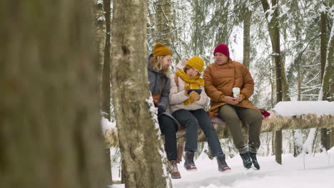 Three-Friends-Sitting-On-A-Tree-Trunk-Talking-And-Looking-Around-In-A-Snowy-Forest-2